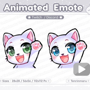 Animated Emote | Wave Emote | Cute White Cat | Blue eyes & Green eyes | Twitch/Discord/Youtube | Kawaii cat/Kitty Cat