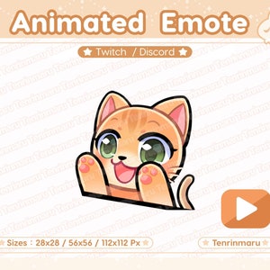 Op de afbeelding: Geanimeerde Twitch- of Discord-emote van een schattige oranje kat met groene ogen, die zijn poot uitsteekt en glimlacht. De emote is beschikbaar in drie formaten: 28x28, 56x56 en 112x112 pixels.
