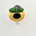 Jumping Spider Mini Gourd Hideaway 