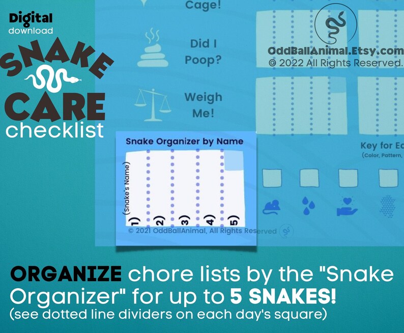 Snake Care Monthly Checklist for Snake Lovers Youth & Adult Etsy