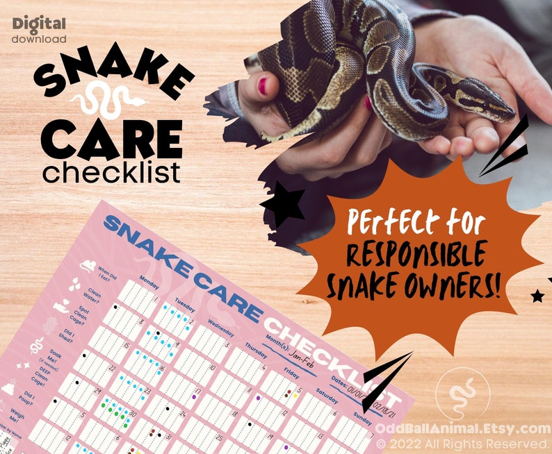 Snake Care Checklist for Snake Lovers Youth & Adult digital Etsy