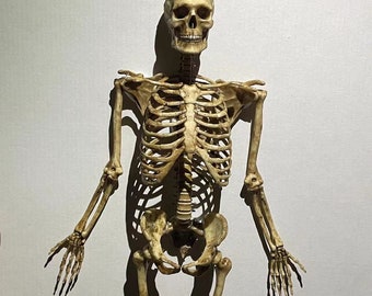1/18 Artesanía de exhibición de esqueleto humano impresa en 3D