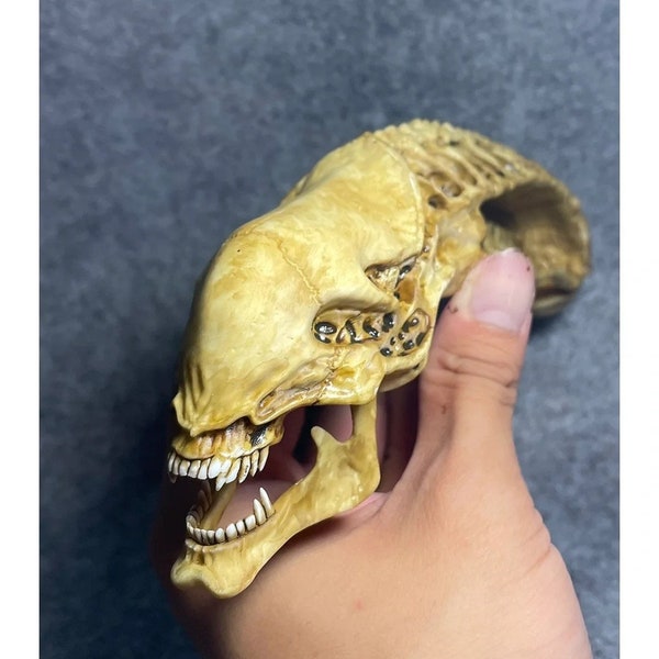 3D Printed Alien Miniature Skull Display Handcraft