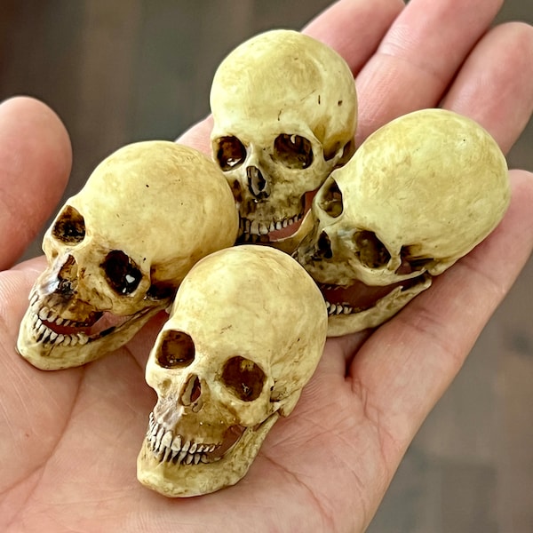 1/6 3D Printed Miniature Skull Display Handcraft