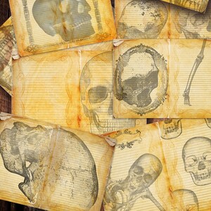 DIGITAL GOTHIC SKULL Journal Pagine stampabili, Download di effimeri digitali, Fogli di collage stampabili, Diario spazzatura, Papaveri, PagesPrintablePapers