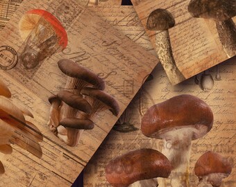 Mushroom Journal Pages, Vintage Ephemera, Scrapbook Kit (Digital Download)