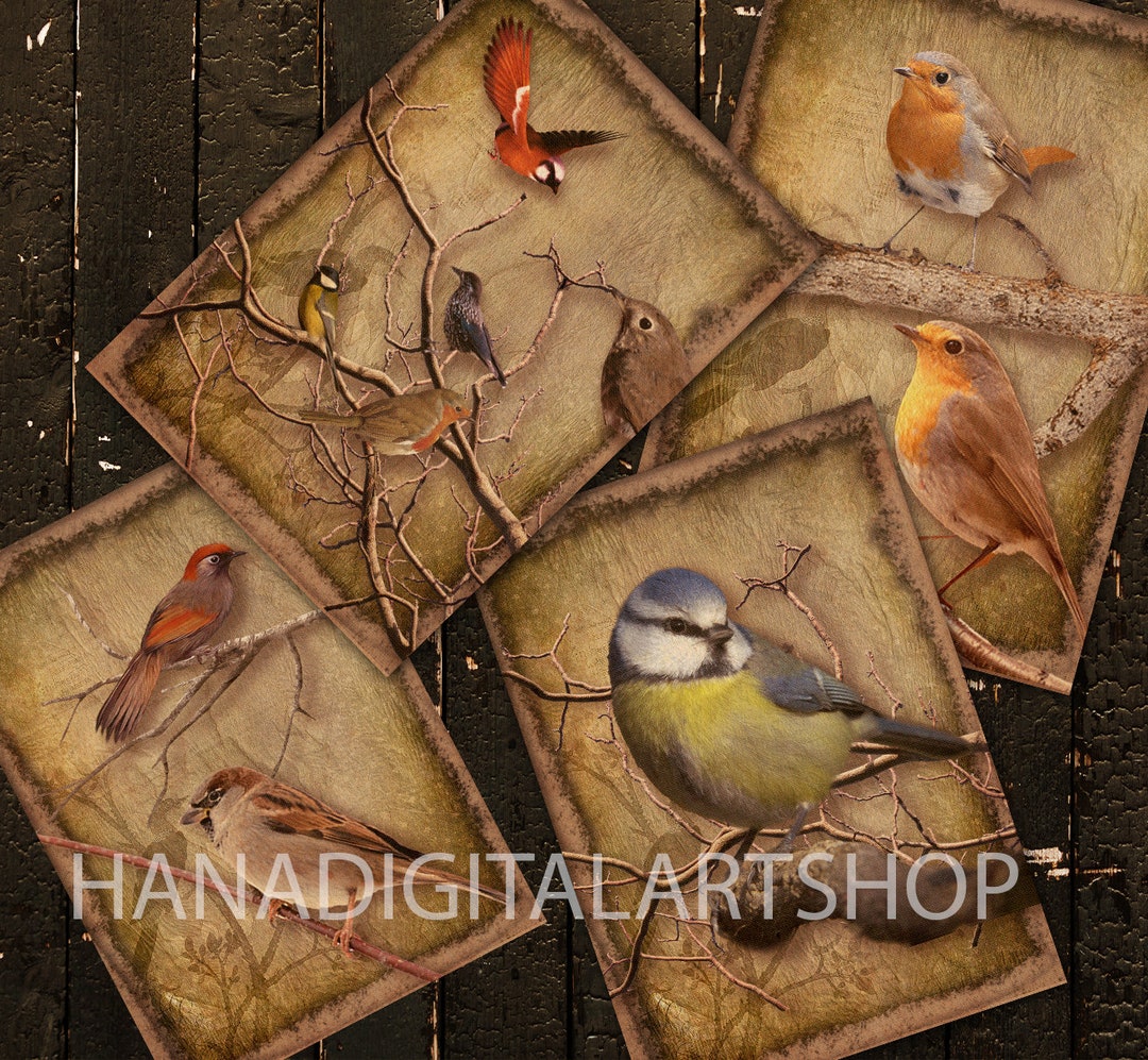 VINTAGE BIRD Printable Postcard, Vintage Art, Instant Download, Digital ...