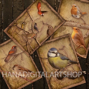 VINTAGE VOGEL druckbare Postkarte, Vintage Kunst, sofortiger Download, digitale Collage, Ephemera, antike Kunst, Papercraft, Journaling.