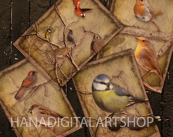 Vintage Bird Art Printable Postcards, Ephemera for Journaling (Digital Download)