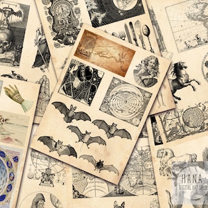 May include: A collection of vintage illustrations and maps, featuring a variety of subjects including bats, a skull, a compass, a horse, and a map of the world. The illustrations are in black and white and have a distressed, antique look.