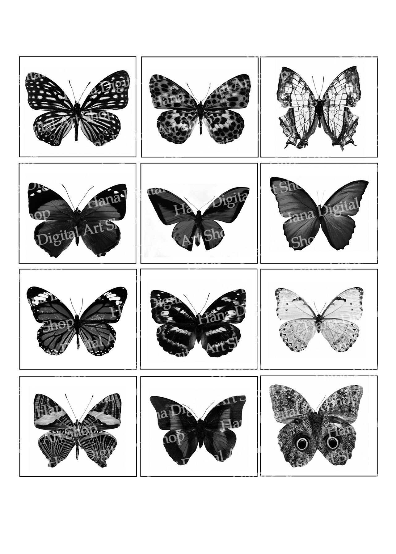 BUTTERFLY STICKERS, Printable Images, Instant Download, Digital Collage