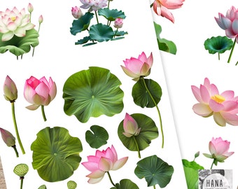 Colección de imágenes prediseñadas digitales de loto / Flores de loto en acuarela / Descarga instantánea / Elementos de diseño y manualidades DIY, Imagen realista de loto, Loto