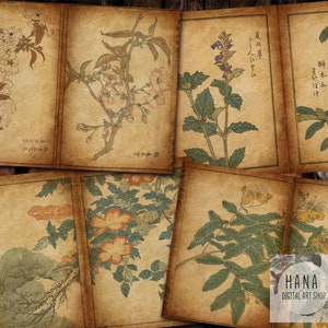 VINTAGE JAPANESE Printable Pages for Junk Journals, Japanese Ephemera, Junk Journal Kit, Japanese theme, Ancient art, Old Art, Japanese art