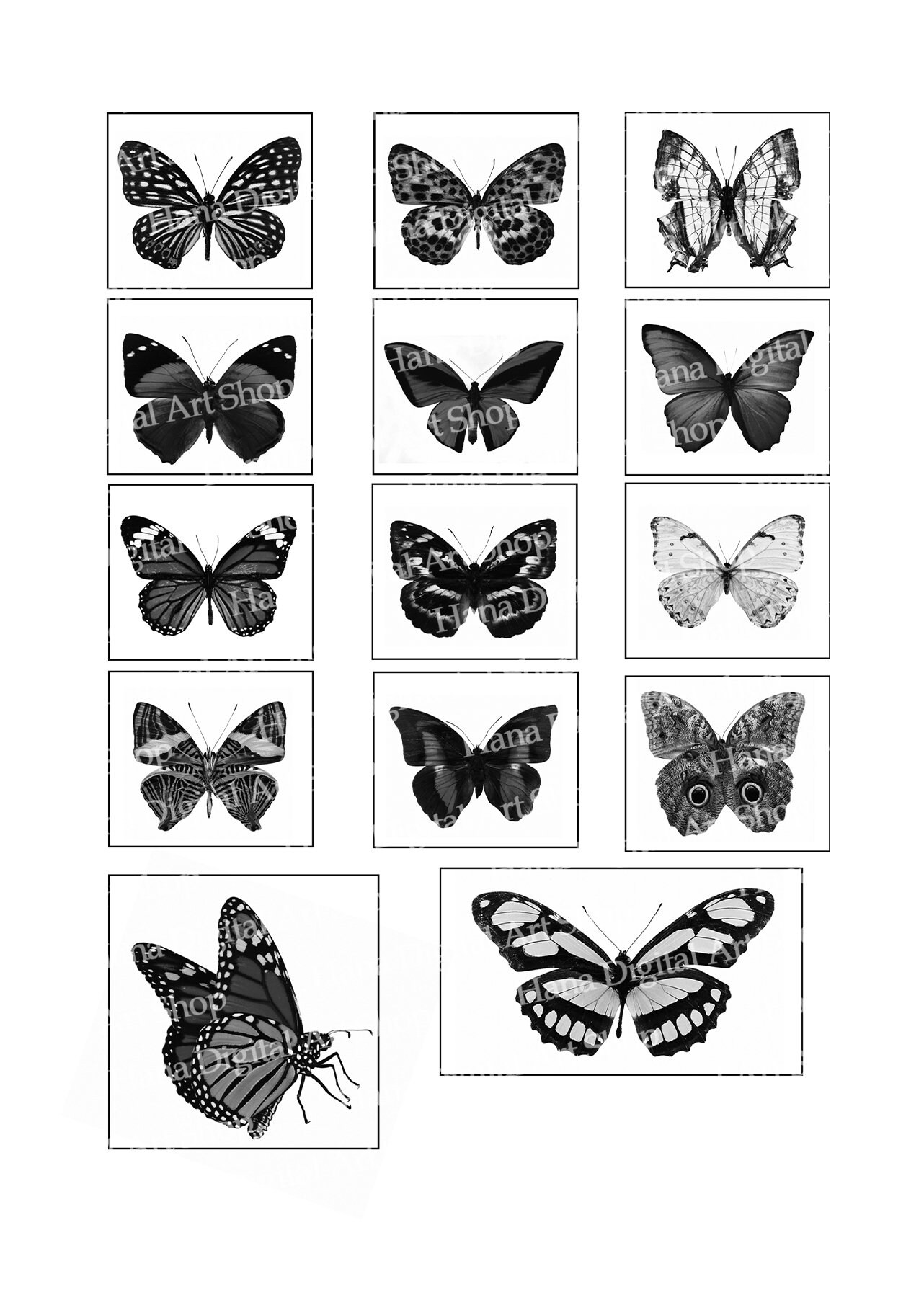 BUTTERFLY STICKERS, Printable Images, Instant Download, Digital Collage