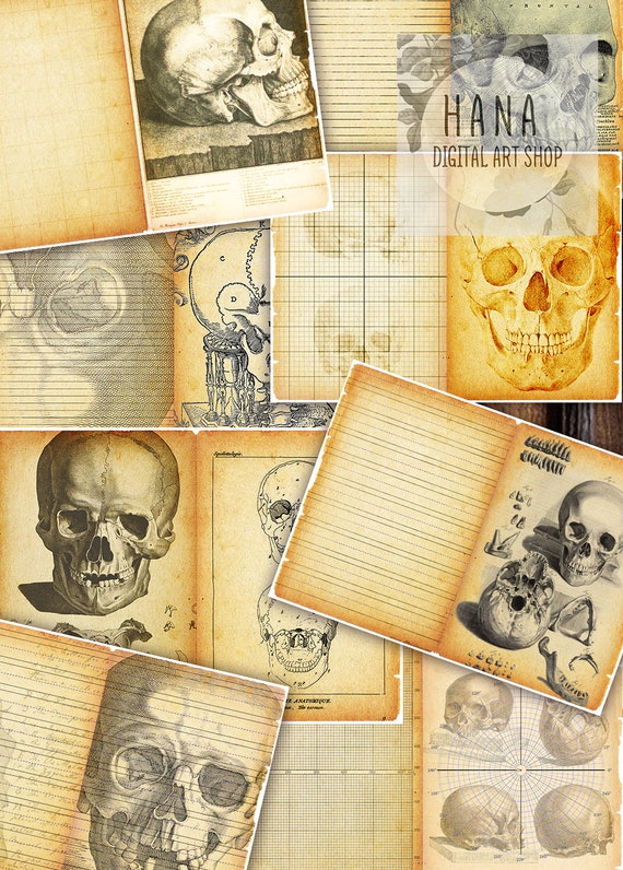 VINTAGE SKULL Journal Printable Pages Digital Ephemera | Etsy