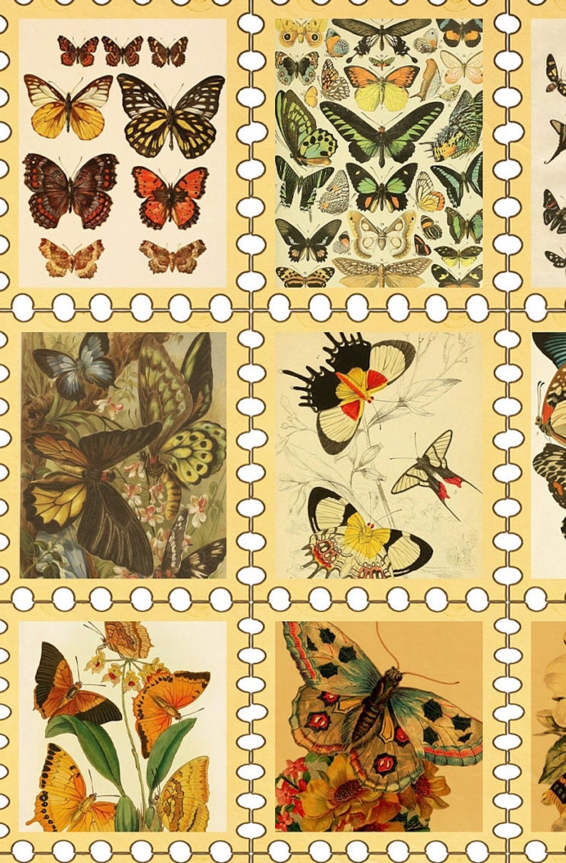 48 BUTTERFLY STAMPS, Printable Stamp, Vintage Stamp, Fairy Stamps