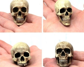 Small Realistic Skulls Selection made in our Hertfordshire Studio. Resin Head Gothic Figurine Ornament, Unusual Gift for Skull Collectors
