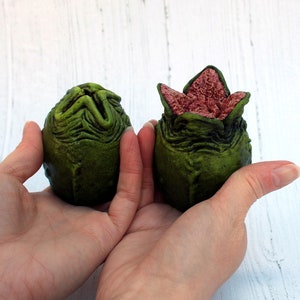 Green Alien Egg, Hatching and Closed Alien Film Egg, Alien Ovomorph, Egg with Petals, Alien Egg Model, Alien 1979 Film. Available unpainted