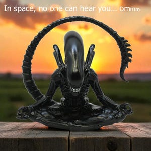 May include: Black figurine of an alien in a seated yoga pose. The alien has a long, curved tail and is set against a sunset background. The text "In space, no one can hear you... ommm" is at the top.