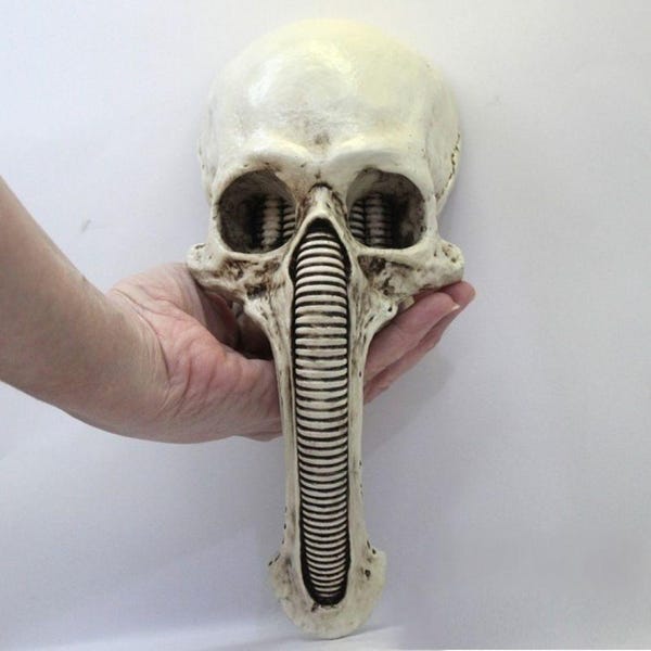 H.R. Giger Biomechanical Skull Wall Hanging: Alien Xenomorph Figurine