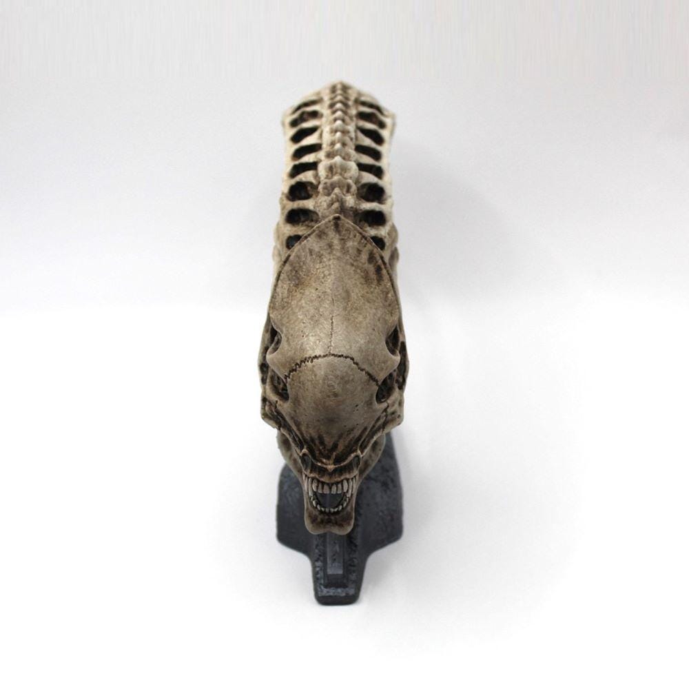 Alien Xenomorph Skull Full Size Head Statue - Resin Skeleton Decor For  Movie Fans Xenomorph Resin Skull Statue 27 Inch Decor, image size:1000x1000