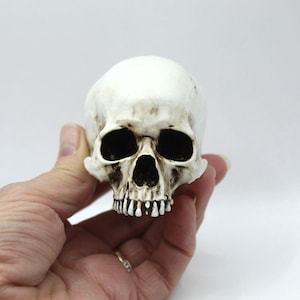 ANATOMICALLY CORRECT Human Skull Handmade Scaled Down Scan of Human Skull Free Standing or Skull Fridge Magnet Gothic Gift Collector JAWLESS