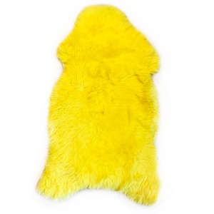 Texel-Schaffell gelb - Skéépe-Schaffell - farbiges Schaffell - Texel-Gütezeichen - Schaffell-Teppich - gelbes Schaffell