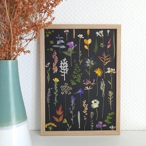 Multicolored herbarium on a black background