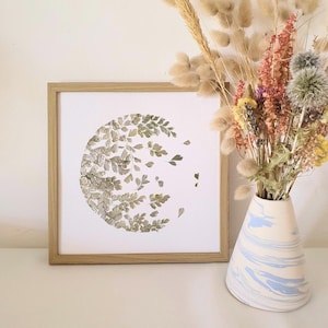 Herbarium of pressed flowers