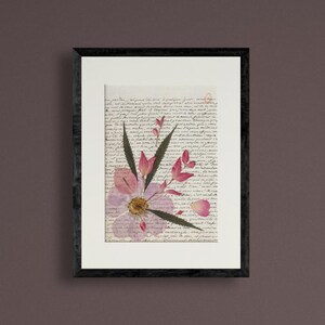 pressed flower herbarium