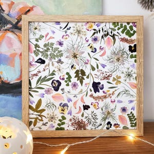 Herbarium of pressed flowers