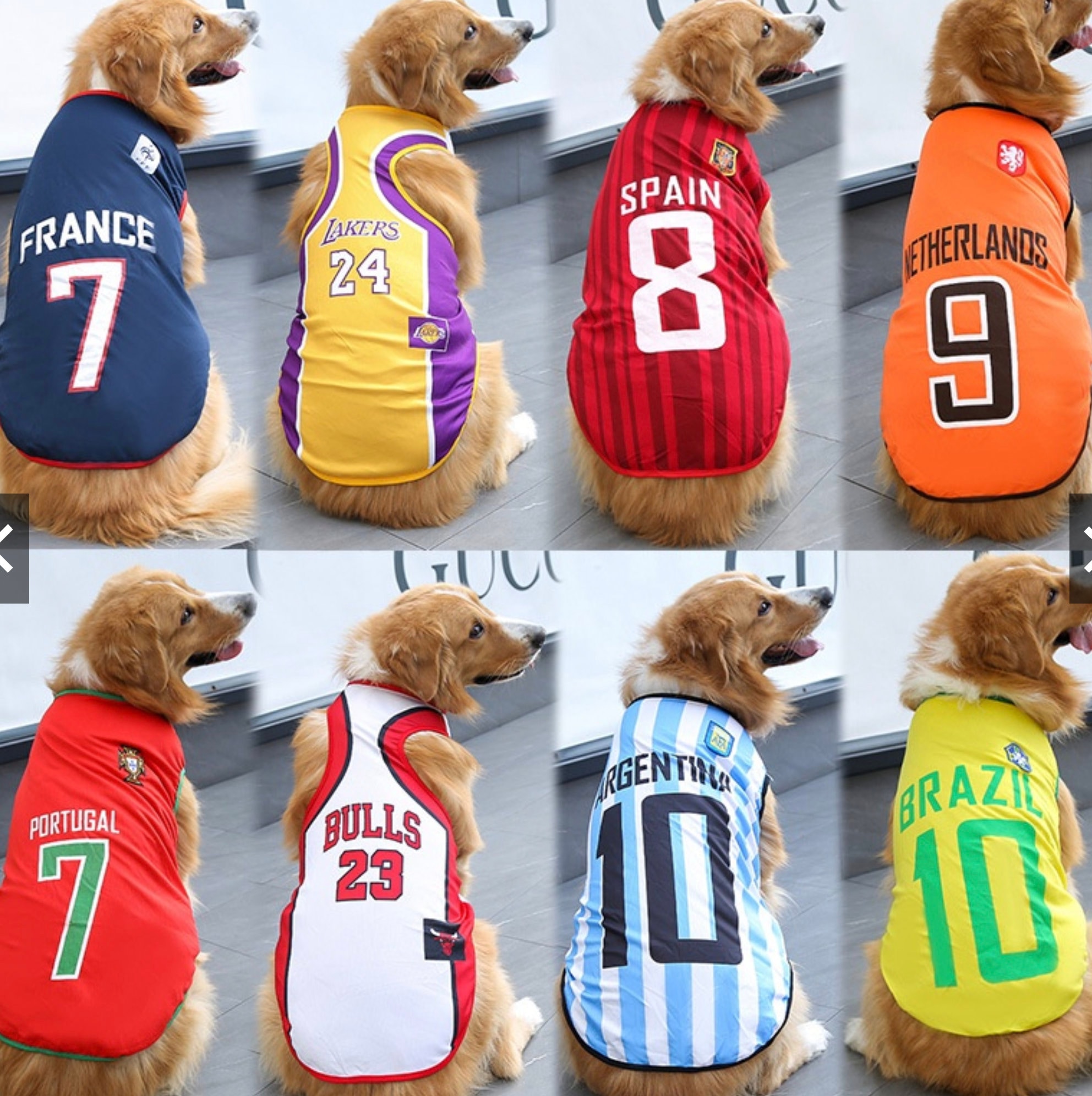 dog jerseys