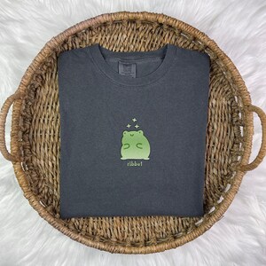 May include: A dark gray t-shirt with a green frog graphic and the word "ribbit" printed below it.