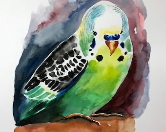 Watercolor Original Bird Parakeet Bird 1 Budgies Animal Animal