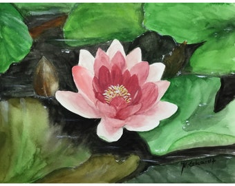 Original Aquarell Seerose flower waterlily