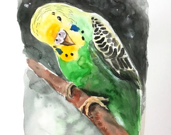 Watercolor Original Bird Parakeet Bird 4 Budgies Animal Animal Pet