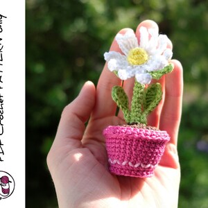 May include: A crocheted daisy flower in a pink pot. The flower is white with a yellow center and green leaves. The pot is crocheted with a pink yarn and has a white trim.