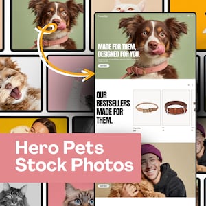Hero Pet +50 Stock Photos  – Cute Dog & Cat Aesthetic Animal Lifestyle Mockups Pet Care Branding Content for Websites