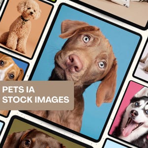 Puede incluir: Una colección de retratos de mascotas, incluyendo un perro marrón con ojos azules, un caniche y un husky. La imagen incluye el texto "PETS IA STOCK IMAGES" en un rectángulo beige.