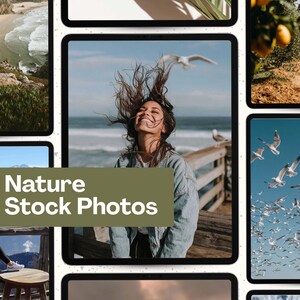 Nature Stock Photos +50 AI Images Scenic Landscape Aesthetic Outdoor Greenery Mockups Calm Forest & Mountain Content Pack