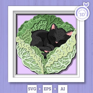 Chaton 3D dormant dans la boîte de l'ombre du chou SVG, SVG d'été 3D, chat 3D Svg, chou 3D SVG, chaton 3D svg, svg 3D Kitty, Silhouette Cricut
