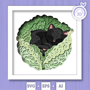 3D bebê gato dormindo na caixa de sombra de repolho SVG, 3D verão SVG, gatinho 3D Svg, repolho 3d SVG, bebê gato 3D svg, gato 3d svg, silhueta Cricut