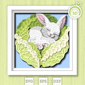 Lapin SVG 3D dormant dans la boîte de l'ombre du chou, 3D lapin Svg, printemps Shadow Box 3D Svg, 3D DXF chou, lapin de Pâques DXF, Silhouette Cricut