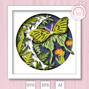 3D Luna Moth papillon ombre boîte SVG, 3D SVG été, 3D lune Svg, 3D papillon ombre boîte SVG, 3D couches Luna Moth svg Cricut Silhouette