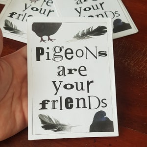 Pigeons Are Your Friends Zine