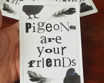 Pigeons Are Your Friends Zine