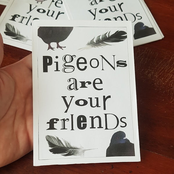 Les pigeons sont vos amis Zine