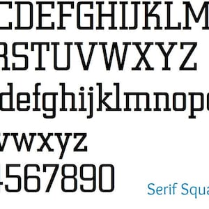 Puede incluir: Un gr&aacute;fico de alfabeto de fuente con letras may&uacute;sculas y min&uacute;sculas, n&uacute;meros y la palabra "Serif Square".