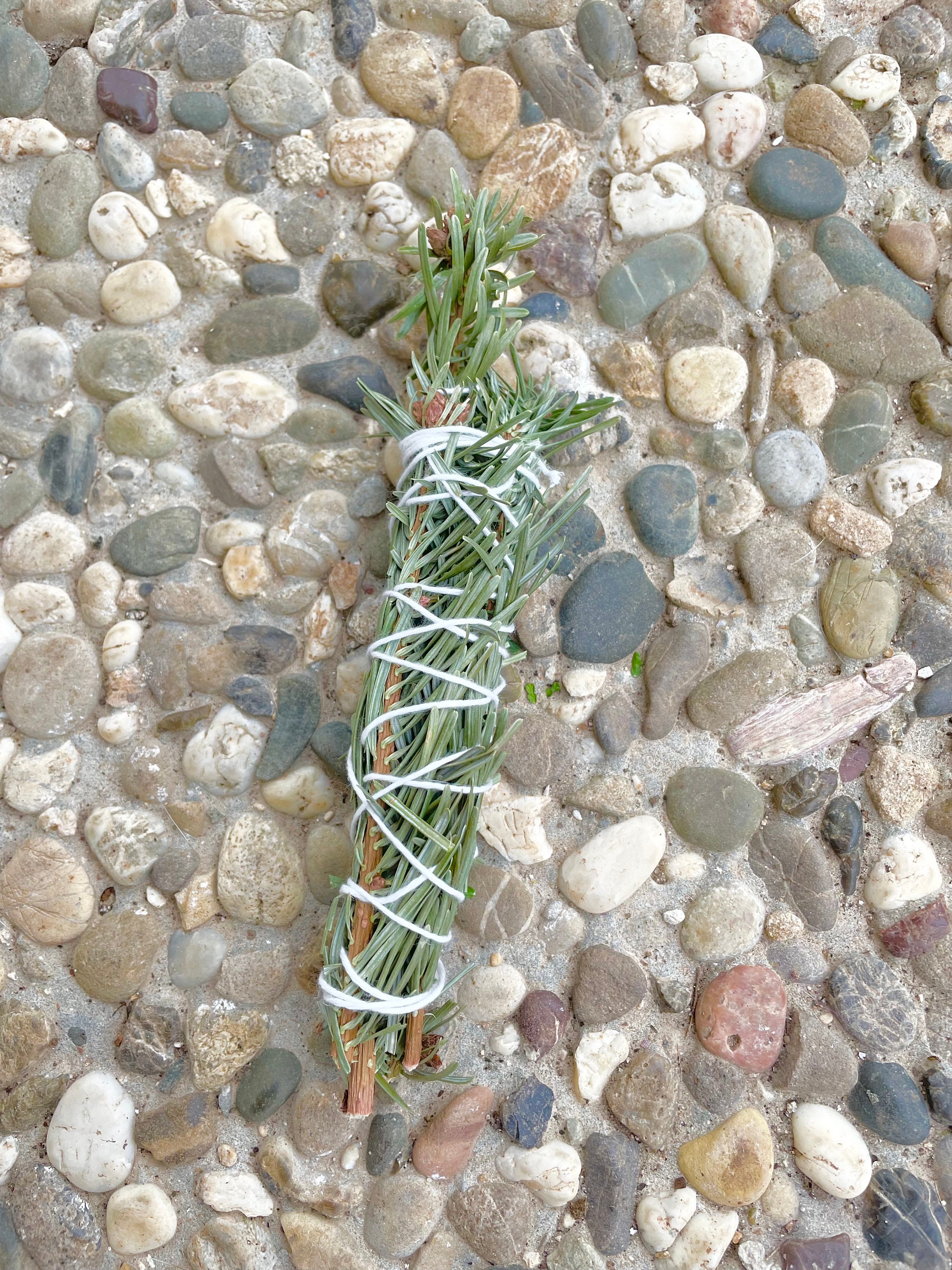 Bâton Fumigation Sapin