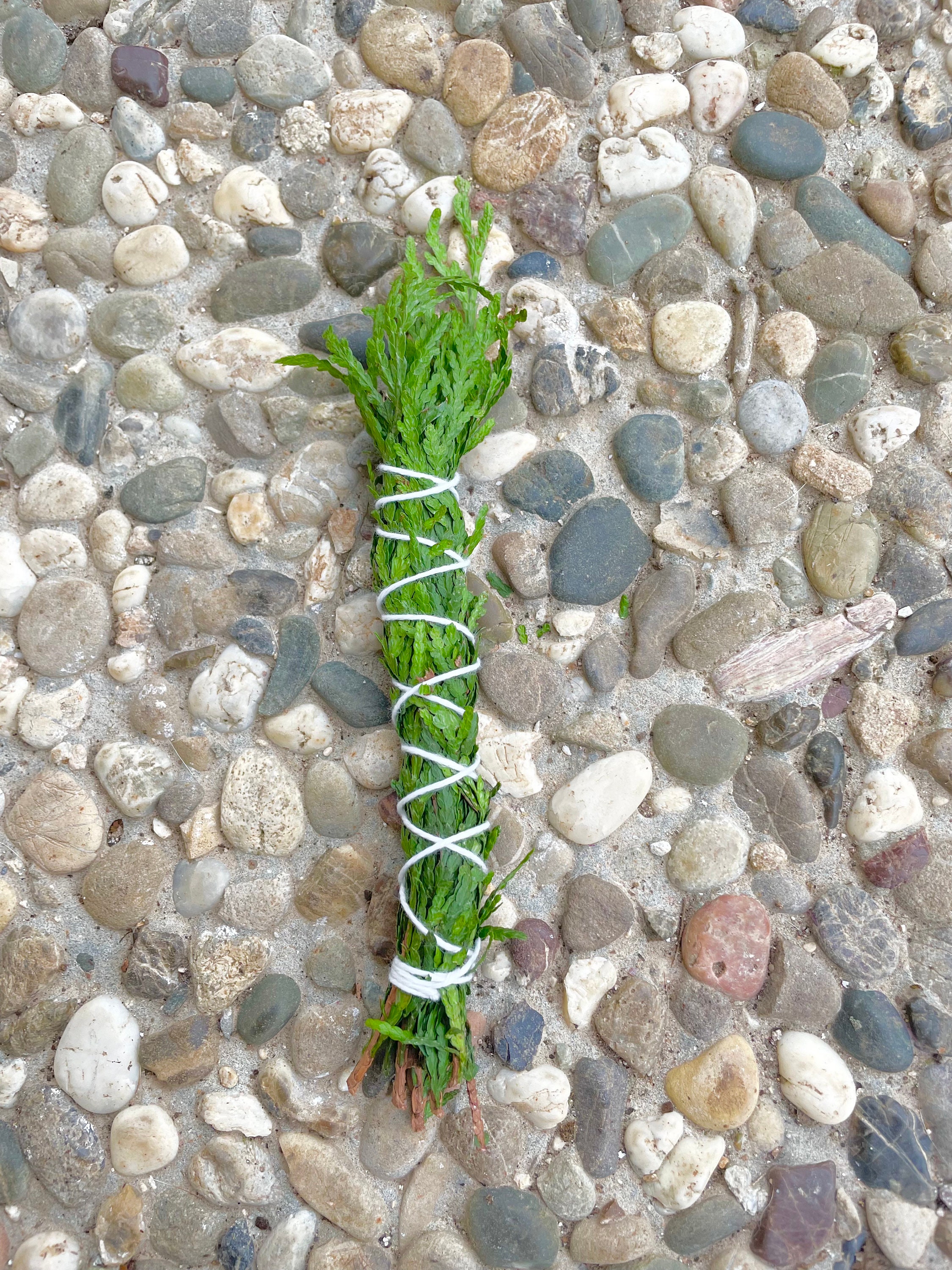 Bâton Fumigation Thuya